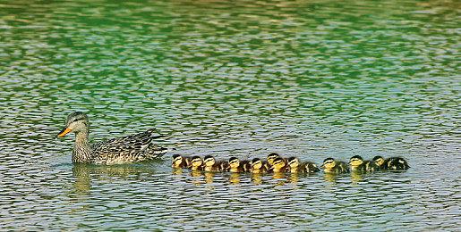 PS NOW或在7月加入重量级作品 《战神》、《大镖客2》等